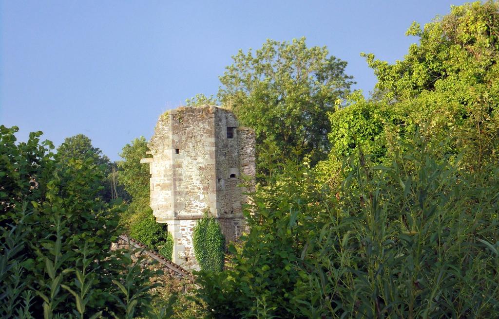 Chateau De La Chasse-Guerre Bed and Breakfast Hardanges Buitenkant foto