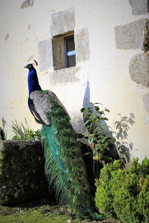 Chateau De La Chasse-Guerre Bed and Breakfast Hardanges Buitenkant foto