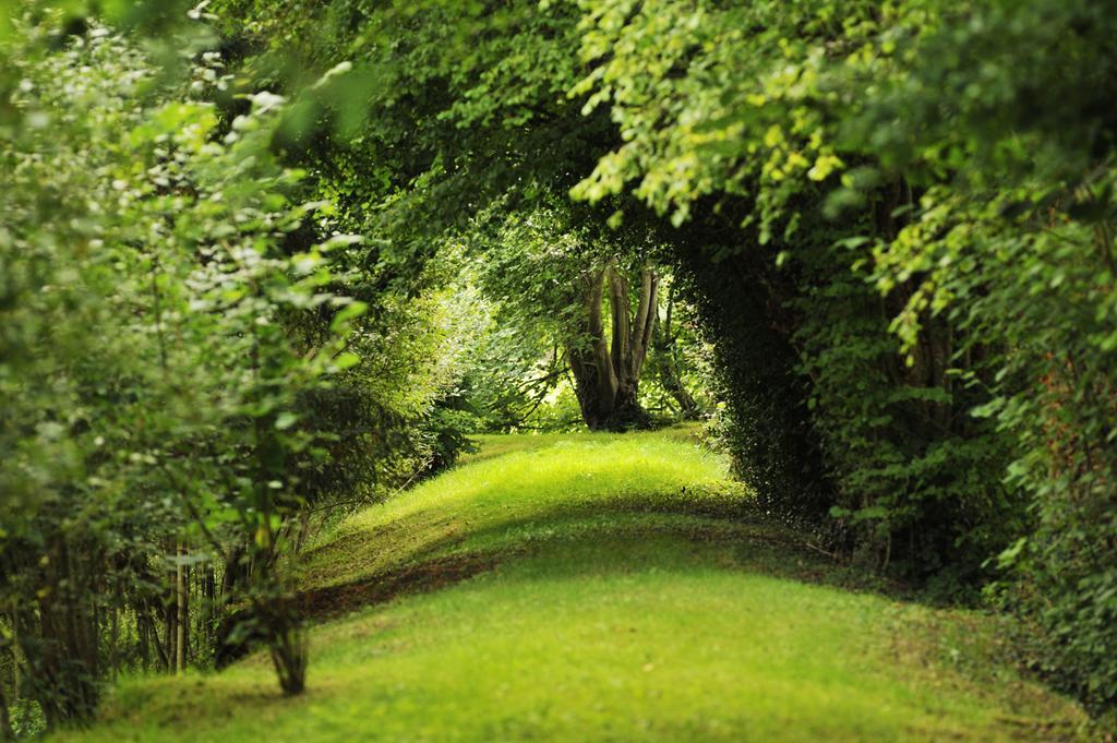 Chateau De La Chasse-Guerre Bed and Breakfast Hardanges Buitenkant foto